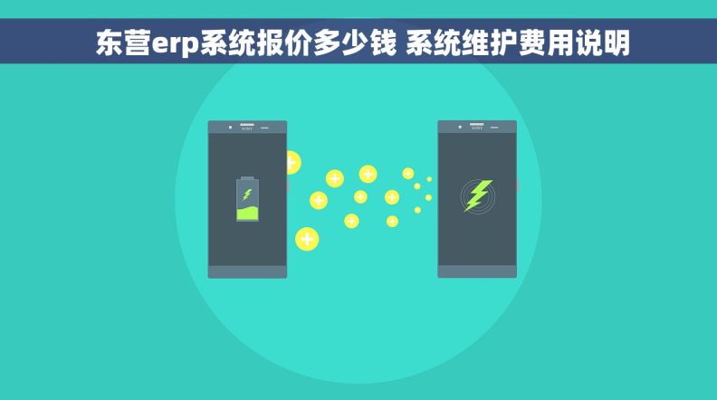  东营erp系统报价多少钱 系统维护费用说明