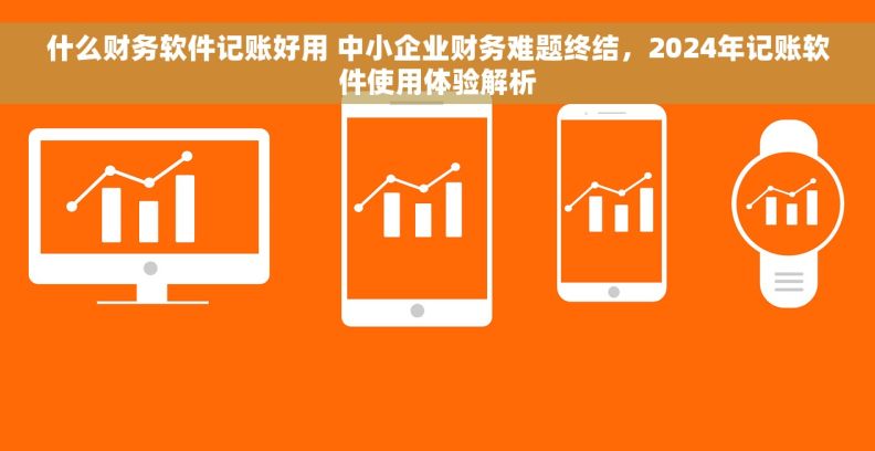 什么财务软件记账好用 中小企业财务难题终结，2024年记账软件使用体验解析