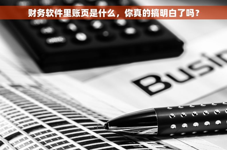 财务软件里账页是什么,你真的搞明白了吗? 财务软件里账页是什么,你真的搞明白了吗?