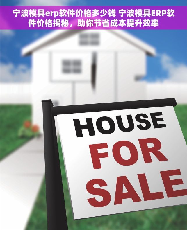 宁波模具erp软件价格多少钱 宁波模具ERP软件价格揭秘，助你节省成本提升效率
