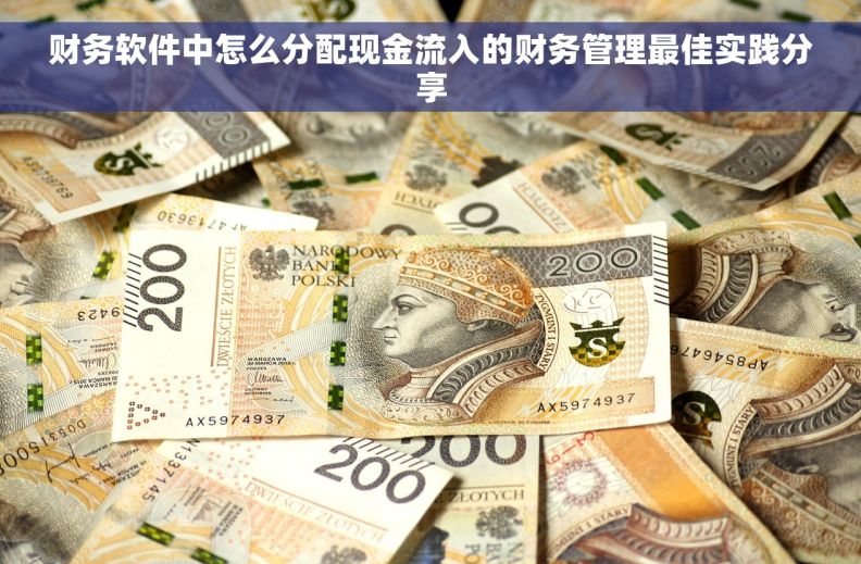 财务软件中怎么分配现金流入的财务管理最佳实践分享