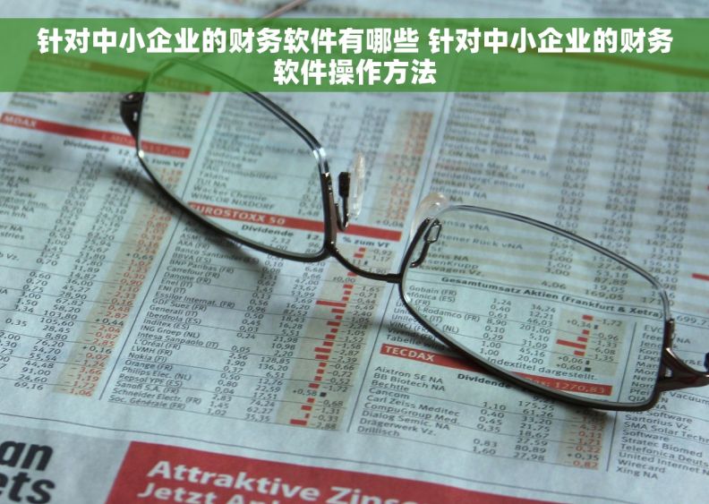 针对中小企业的财务软件有哪些 针对中小企业的财务软件操作方法 针对中小企业的财务软件有哪些 针对中小企业的财务软件操作方法