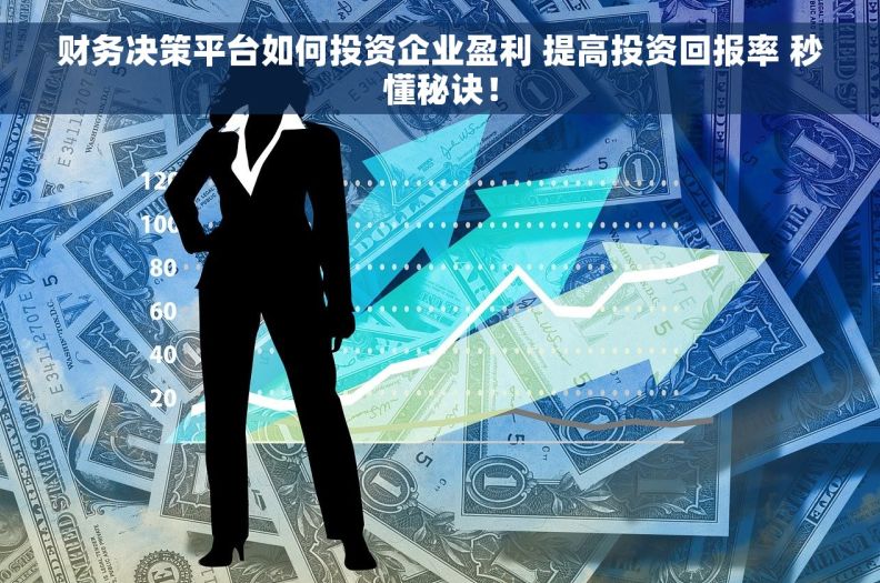 财务决策平台如何投资企业盈利 提高投资回报率 秒懂秘诀！