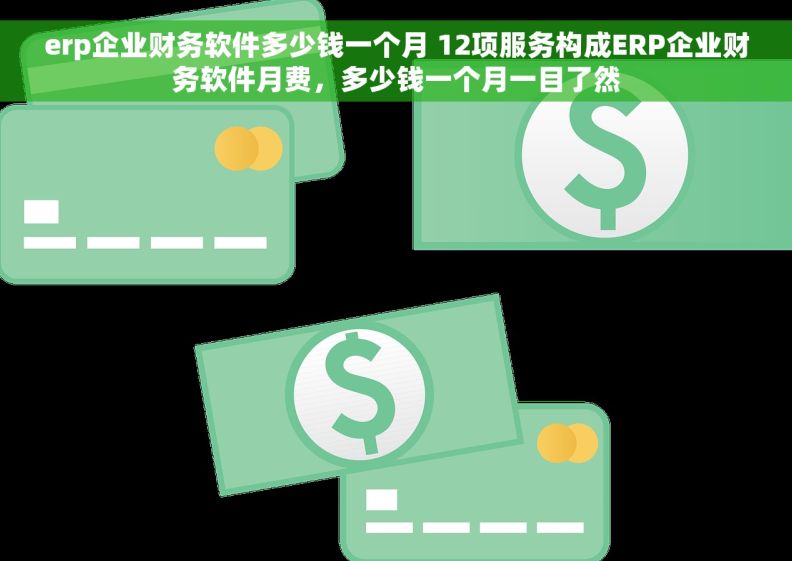 erp企业财务软件多少钱一个月 12项服务构成ERP企业财务软件月费，多少钱一个月一目了然
