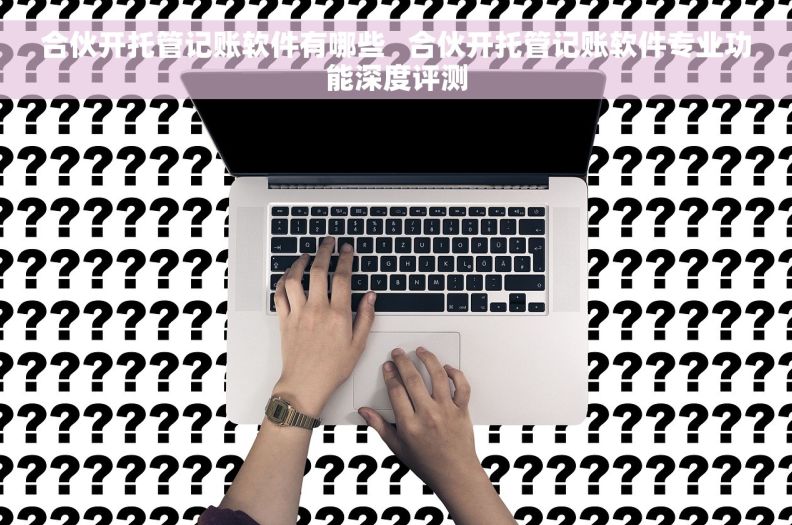 合伙开托管记账软件有哪些   合伙开托管记账软件专业功能深度评测