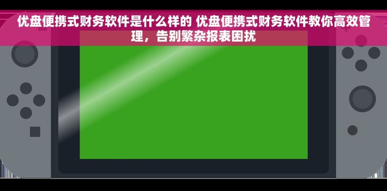 优盘便携式财务软件是什么样的 优盘便携式财务软件教你高效管理，告别繁杂报表困扰