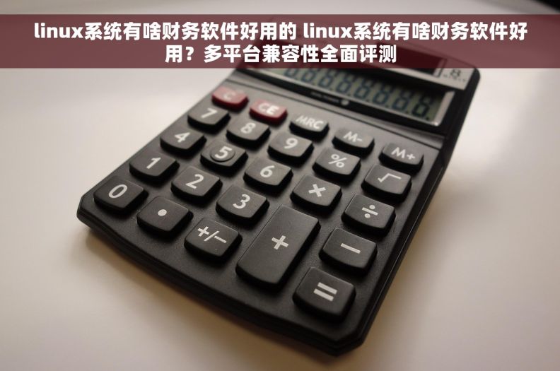 linux系统有啥财务软件好用的 linux系统有啥财务软件好用？多平台兼容性全面评测