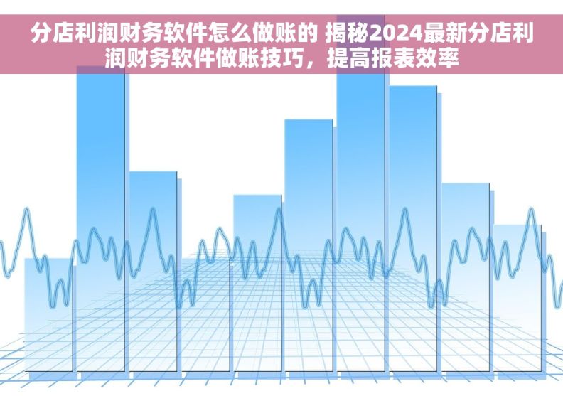分店利润财务软件怎么做账的 揭秘2024最新分店利润财务软件做账技巧，提高报表效率