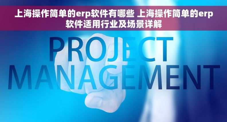 上海操作简单的erp软件有哪些 上海操作简单的erp软件适用行业及场景详解