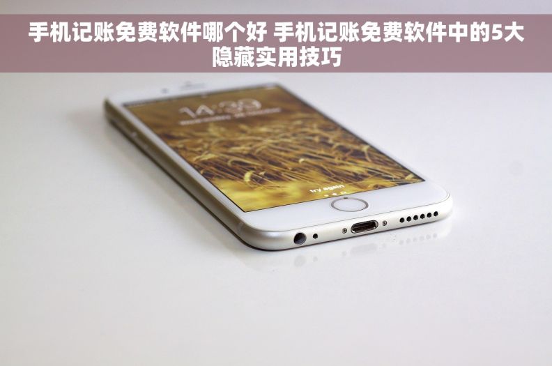 手机记账免费软件哪个好 手机记账免费软件中的5大隐藏实用技巧