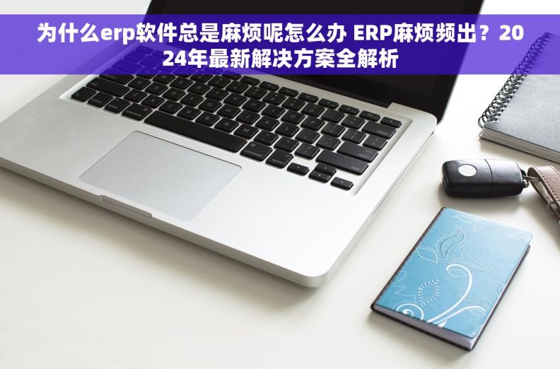 为什么erp软件总是麻烦呢怎么办 ERP麻烦频出？2024年最新解决方案全解析