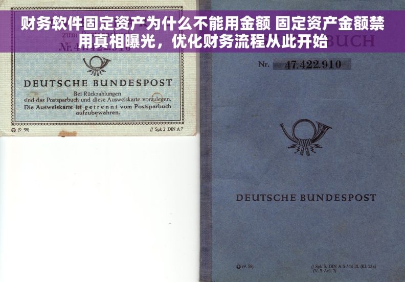 财务软件固定资产为什么不能用金额 固定资产金额禁用真相曝光，优化财务流程从此开始