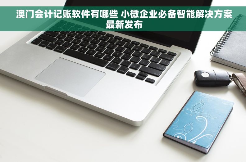  澳门会计记账软件有哪些 小微企业必备智能解决方案 最新发布