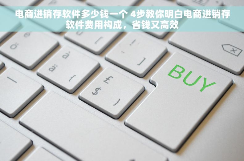 电商进销存软件多少钱一个 4步教你明白电商进销存软件费用构成，省钱又高效