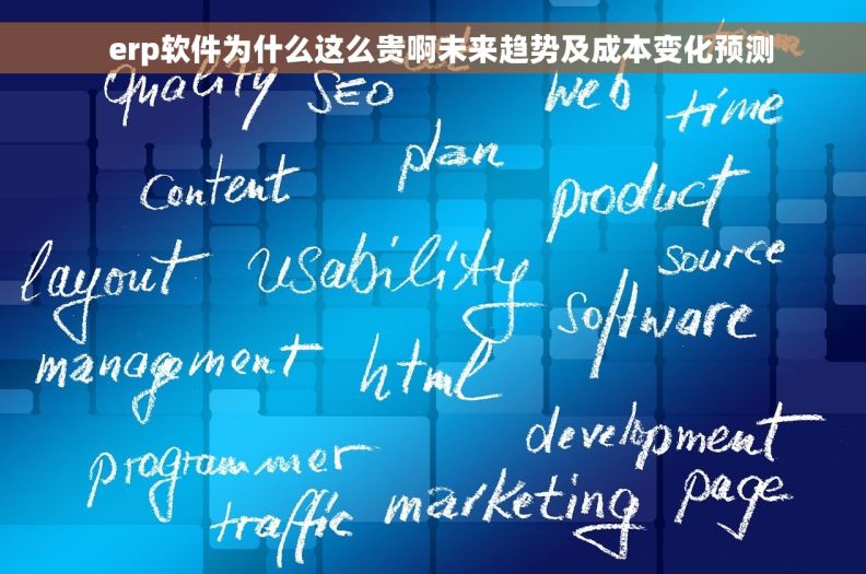   erp软件为什么这么贵啊未来趋势及成本变化预测