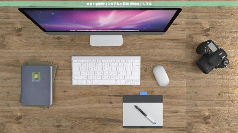 大有erp集团订货系统怎么样啊 更新维护方便吗