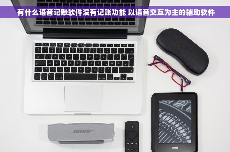 有什么语音记账软件没有记账功能 以语音交互为主的辅助软件