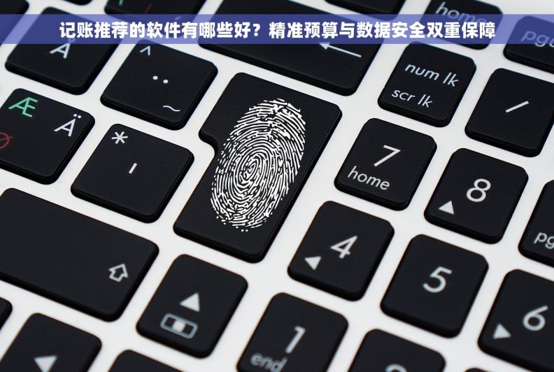 记账推荐的软件有哪些好？精准预算与数据安全双重保障