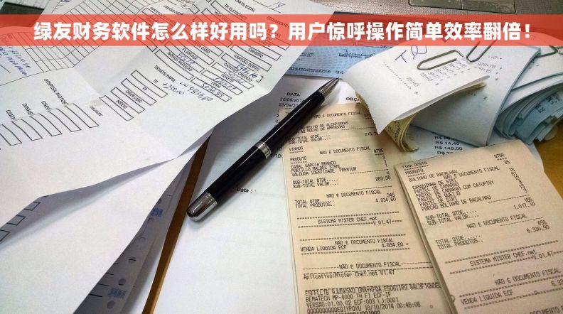绿友财务软件怎么样好用吗？用户惊呼操作简单效率翻倍！