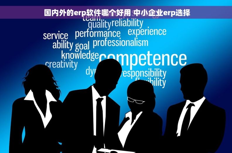  国内外的erp软件哪个好用 中小企业erp选择