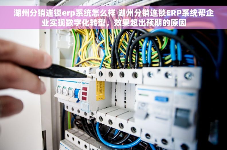 湖州分销连锁erp系统怎么样 湖州分销连锁ERP系统帮企业实现数字化转型，效果超出预期的原因