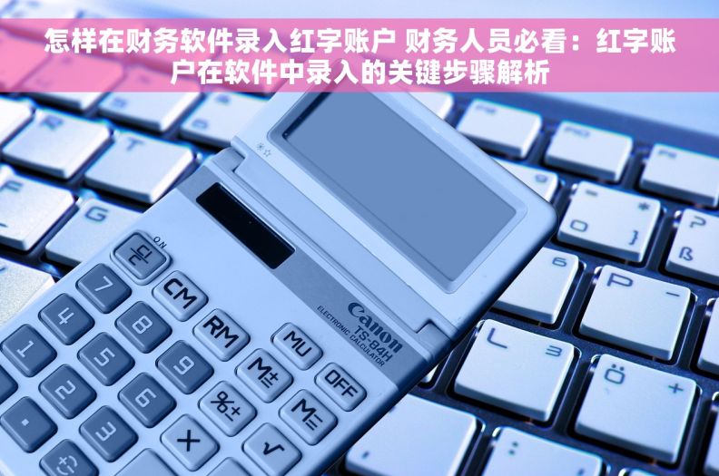 怎样在财务软件录入红字账户 财务人员必看：红字账户在软件中录入的关键步骤解析