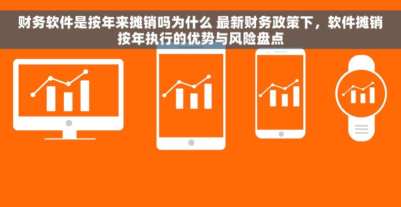财务软件是按年来摊销吗为什么 最新财务政策下,软件摊销按年执行的优势与风险盘点 财务软件是按年来摊销吗为什么 最新财务政策下,软件摊销按年执行的优势与风险盘点