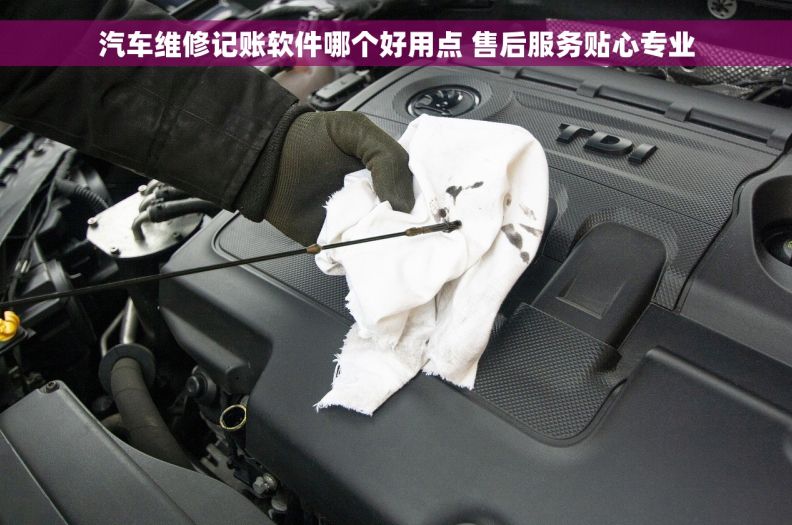汽车维修记账软件哪个好用点 售后服务贴心专业
