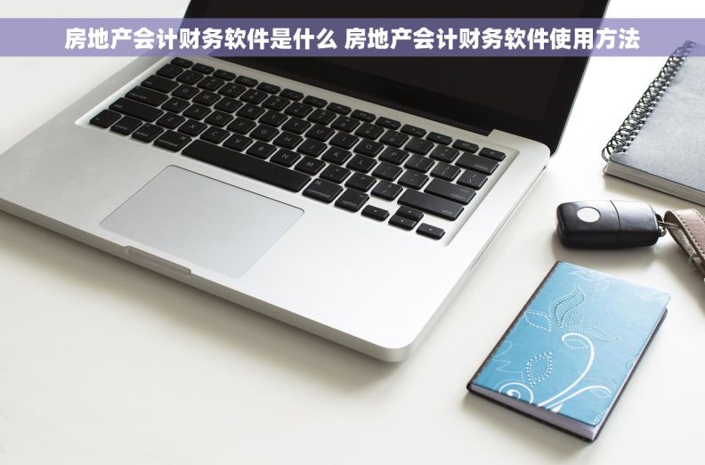 房地产会计财务软件是什么 房地产会计财务软件使用方法