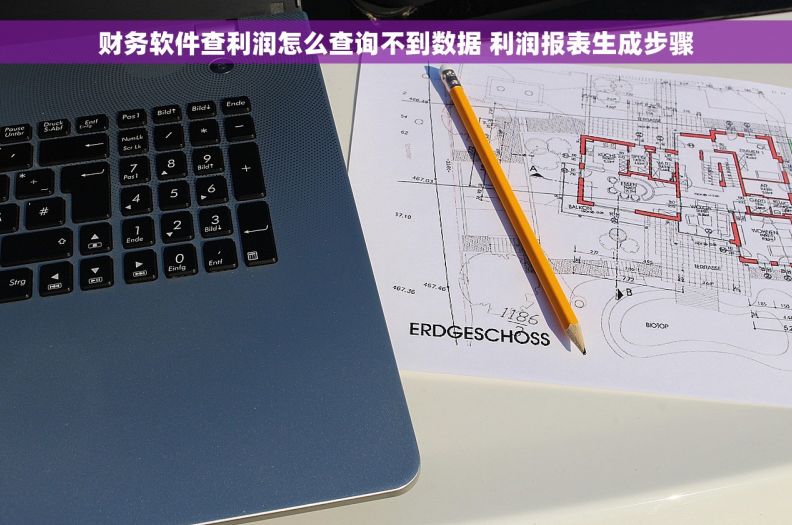 财务软件查利润怎么查询不到数据 利润报表生成步骤