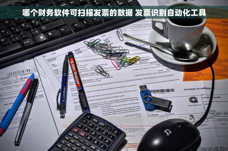 哪个财务软件可扫描发票的数据 发票识别自动化工具