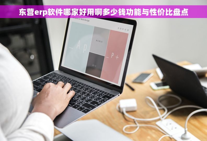 东营erp软件哪家好用啊多少钱功能与性价比盘点