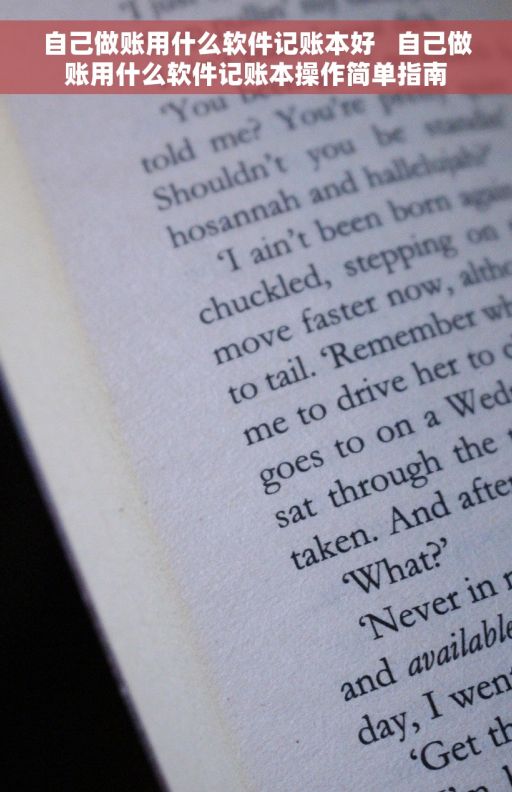 自己做账用什么软件记账本好   自己做账用什么软件记账本操作简单指南