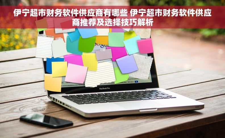 伊宁超市财务软件供应商有哪些 伊宁超市财务软件供应商推荐及选择技巧解析