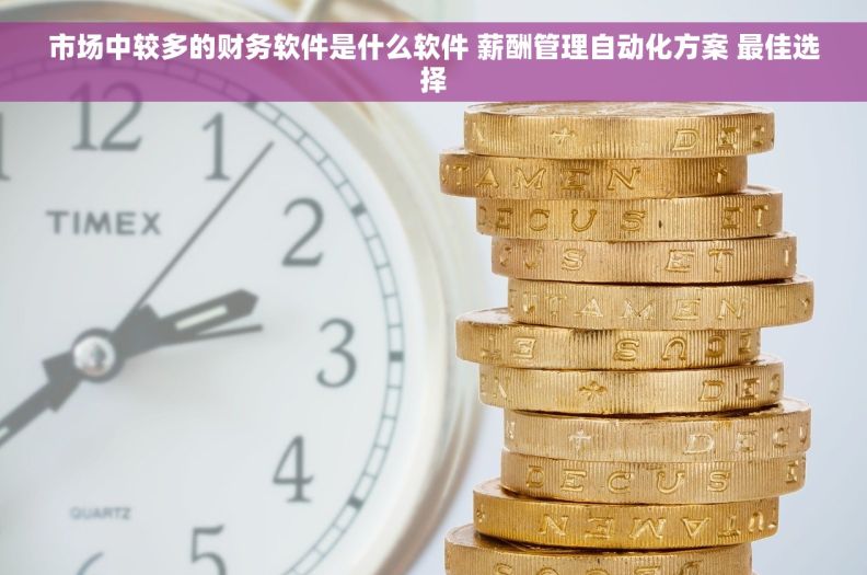 市场中较多的财务软件是什么软件 薪酬管理自动化方案 最佳选择