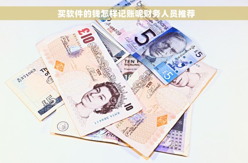   买软件的钱怎样记账呢财务人员推荐