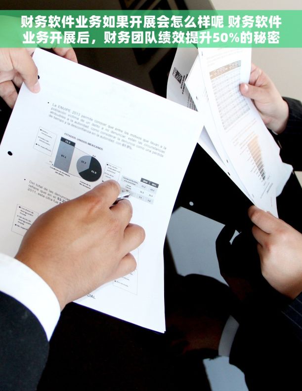 财务软件业务如果开展会怎么样呢 财务软件业务开展后，财务团队绩效提升50%的秘密探析