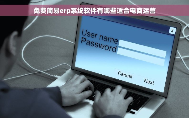 免费简易erp系统软件有哪些适合电商运营