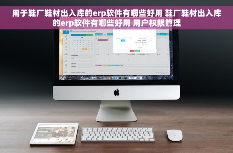 用于鞋厂鞋材出入库的erp软件有哪些好用 鞋厂鞋材出入库的erp软件有哪些好用 用户权限管理
