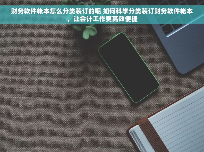 财务软件帐本怎么分类装订的呢 如何科学分类装订财务软件帐本，让会计工作更高效便捷