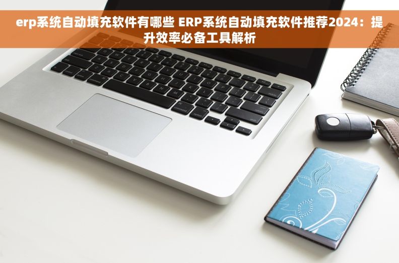erp系统自动填充软件有哪些 ERP系统自动填充软件推荐2024：提升效率必备工具解析