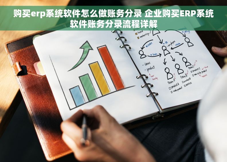 购买erp系统软件怎么做账务分录 企业购买ERP系统软件账务分录流程详解