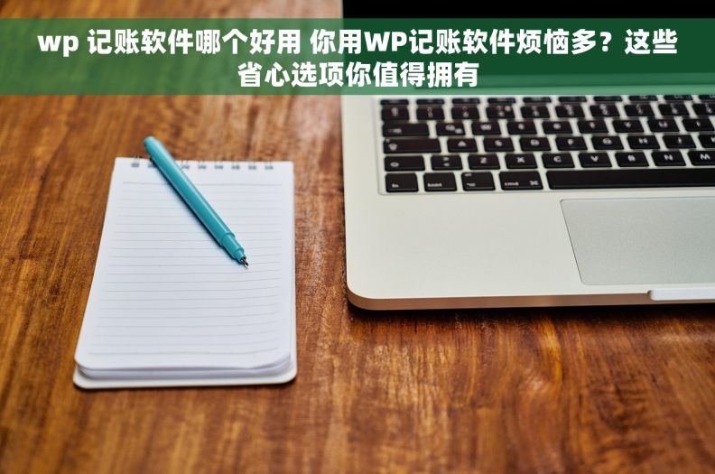 wp 记账软件哪个好用 你用WP记账软件烦恼多？这些省心选项你值得拥有