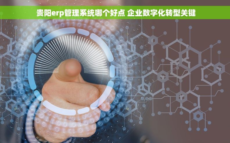 贵阳erp管理系统哪个好点 企业数字化转型关键 贵阳erp管理系统哪个好点 企业数字化转型关键