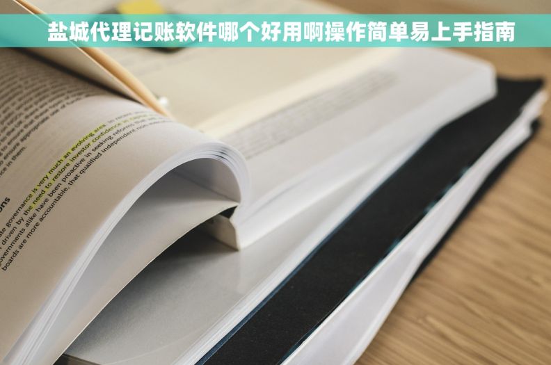   盐城代理记账软件哪个好用啊操作简单易上手指南