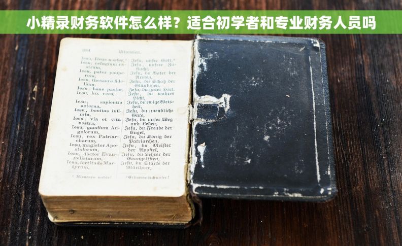 小精录财务软件怎么样?适合初学者和专业财务人员吗 小精录财务软件怎么样?适合初学者和专业财务人员吗