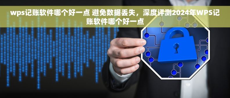 wps记账软件哪个好一点 避免数据丢失，深度评测2024年WPS记账软件哪个好一点