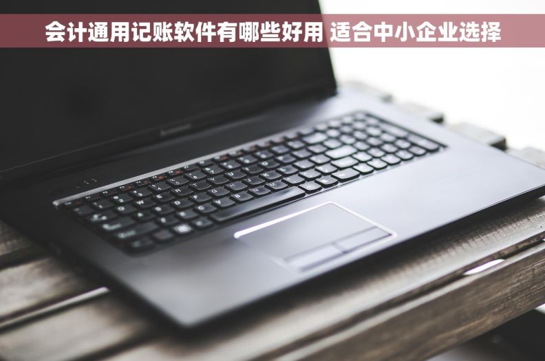 会计通用记账软件有哪些好用 适合中小企业选择