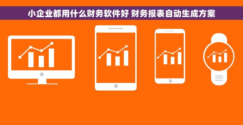 小企业都用什么财务软件好 财务报表自动生成方案 小企业都用什么财务软件好 财务报表自动生成方案