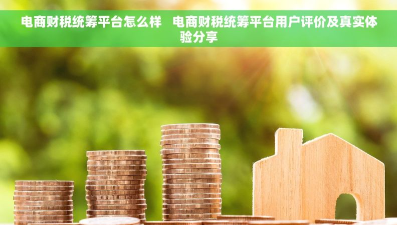 电商财税统筹平台怎么样   电商财税统筹平台用户评价及真实体验分享